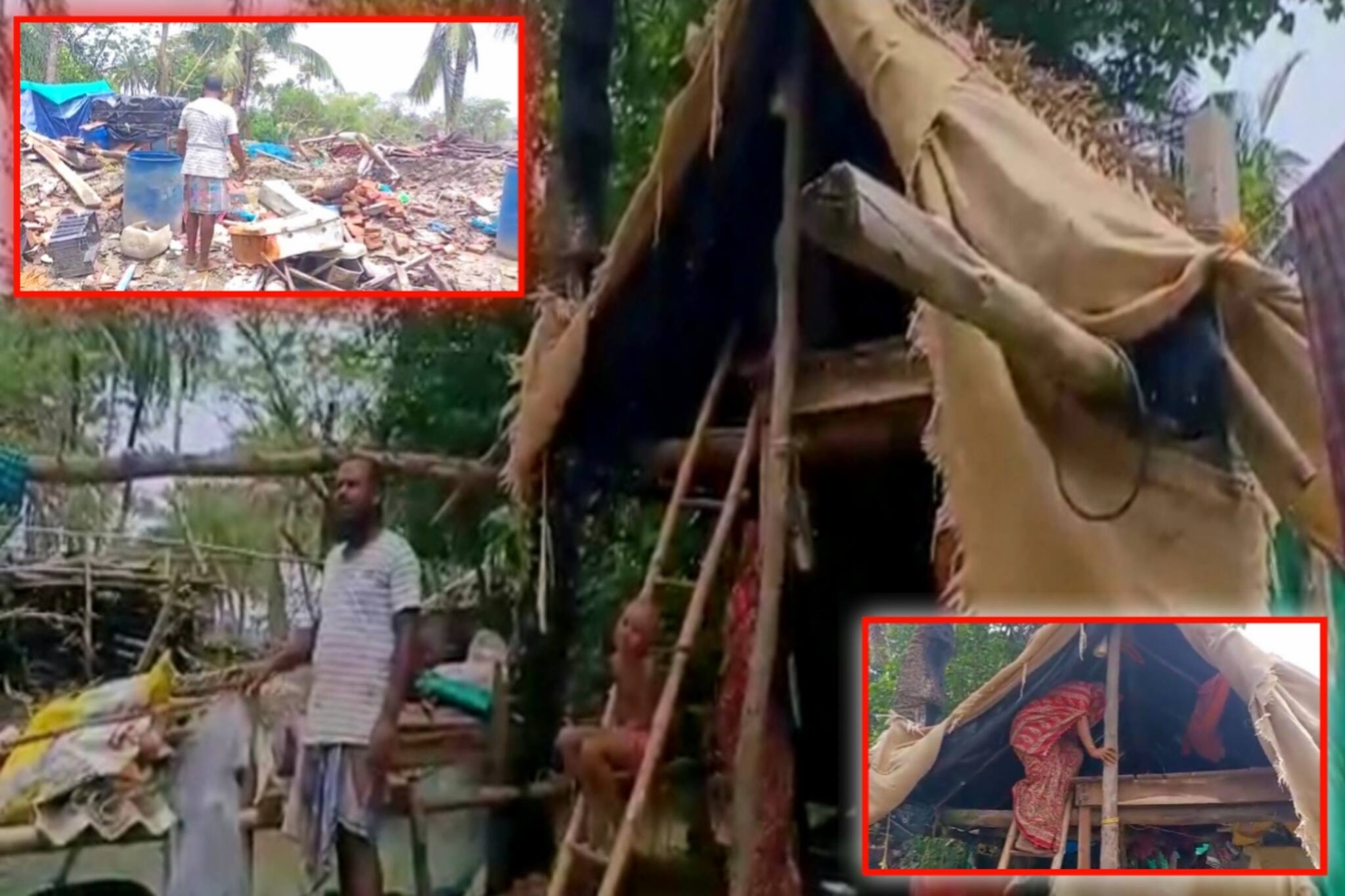 ইয়াসে সব শেষ! মৌসুনি দ্বীপের পয়লাঘেরিতে গাছের উপর ঠাঁই গোটা পরিবারের