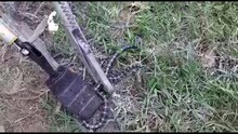 আবারও শান্তিপুরে উদ্ধার বিষাক্ত কালাচ, আতঙ্কে এলাকাবাসী