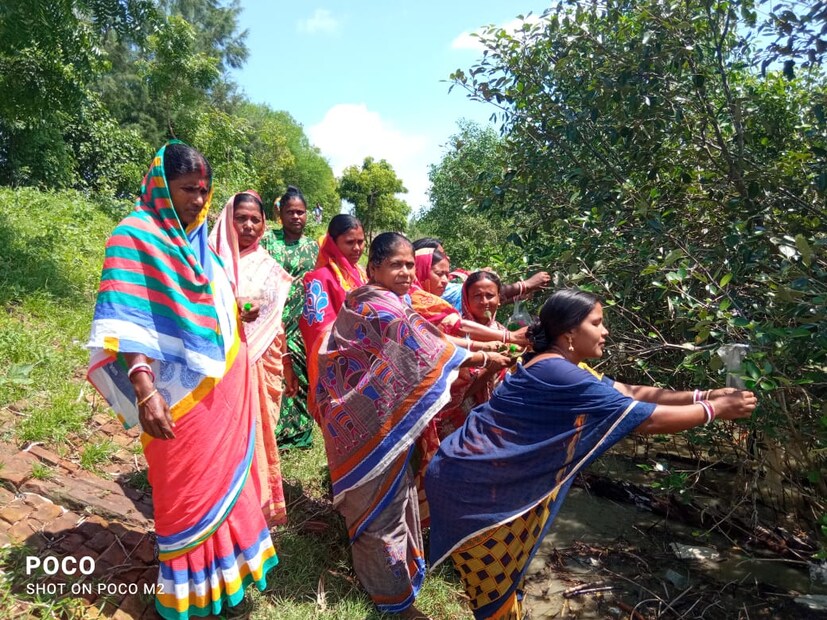 আগামী দিনের প্রাকৃতিক বিপর্যয় থেকে এই ম্যানগ্রোভ রক্ষা করতে পারবে সুন্দরবনকে তা জানে সুন্দরবন এলাকার বাসিন্দারা। তাই একদিকে যখন দিদিরা তাদের নিজেদের ভাইদের রাখি পরিয়ে দিচ্ছে রাজ্যের বিভিন্ন প্রান্তে, ঠিক তখনই সুন্দরবন অঞ্চলের মানুষরা রাখি বন্ধনের দিন রাখি পরিয়ে প্রাকৃতিক বিপর্যয়ের হাত থেকে রক্ষা পেতে চাইছেন।