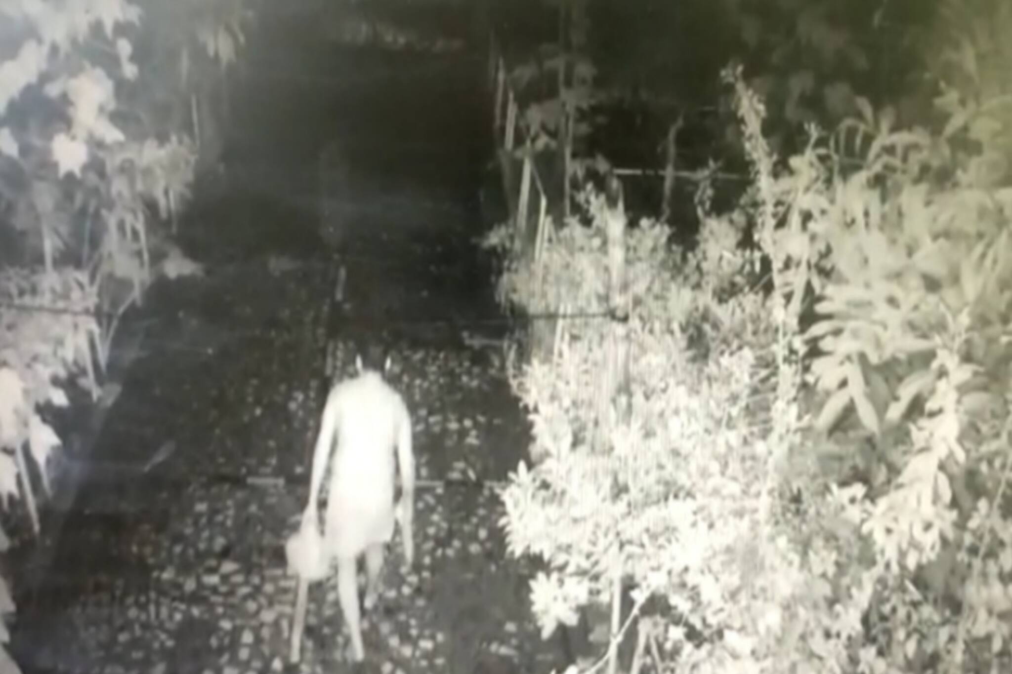 অভিনব কায়দায় পরপর ২টি বাড়িতে চুরির ঘটনায় এলাকায় চাঞ্চল্য