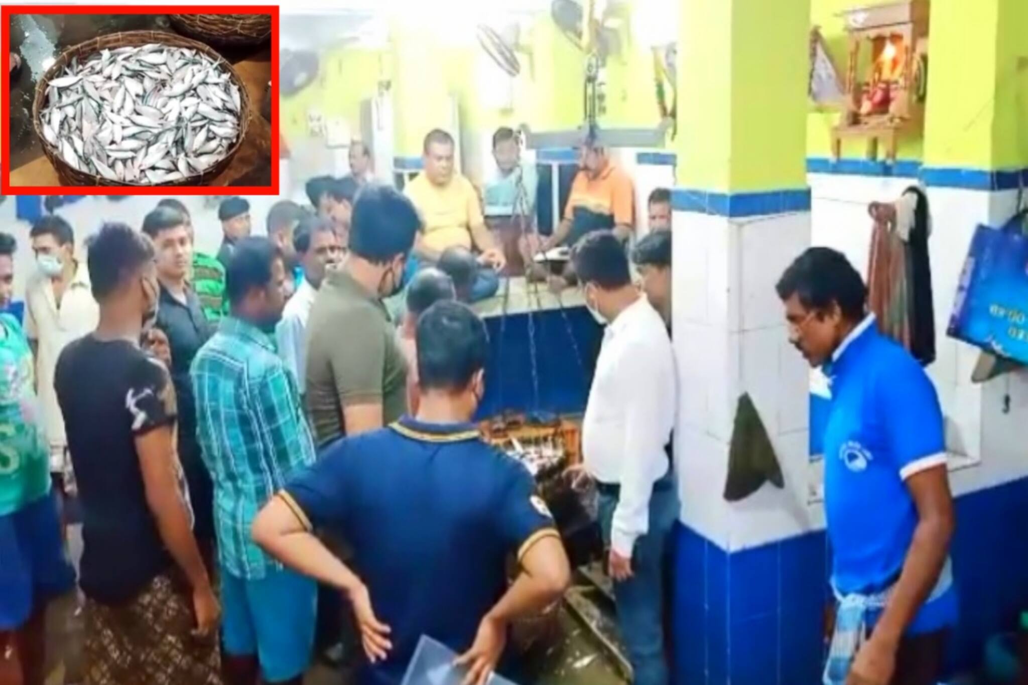 ছোট ইলিশের উপর নজরদারি, মৎস্য আড়তে অভিযান প্রশাসনের