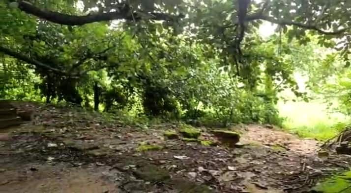 সবুজঘেরা পরিবেশে এই মন্দির