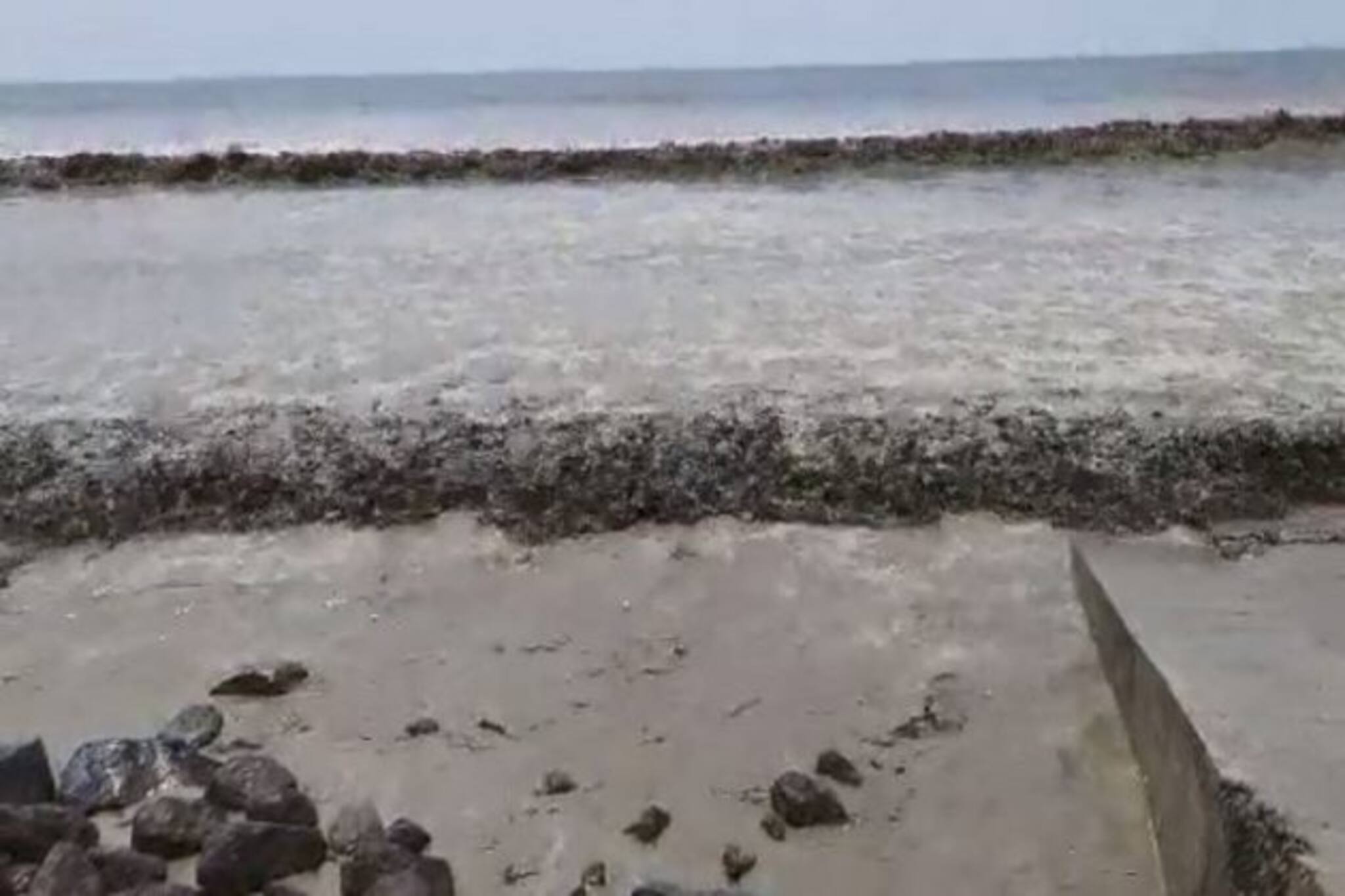 Digha: দিঘার সমুদ্র থেকে উদ্ধার রক্তাক্ত আহত ব্যক্তি, এলাকায় চাঞ্চল্য