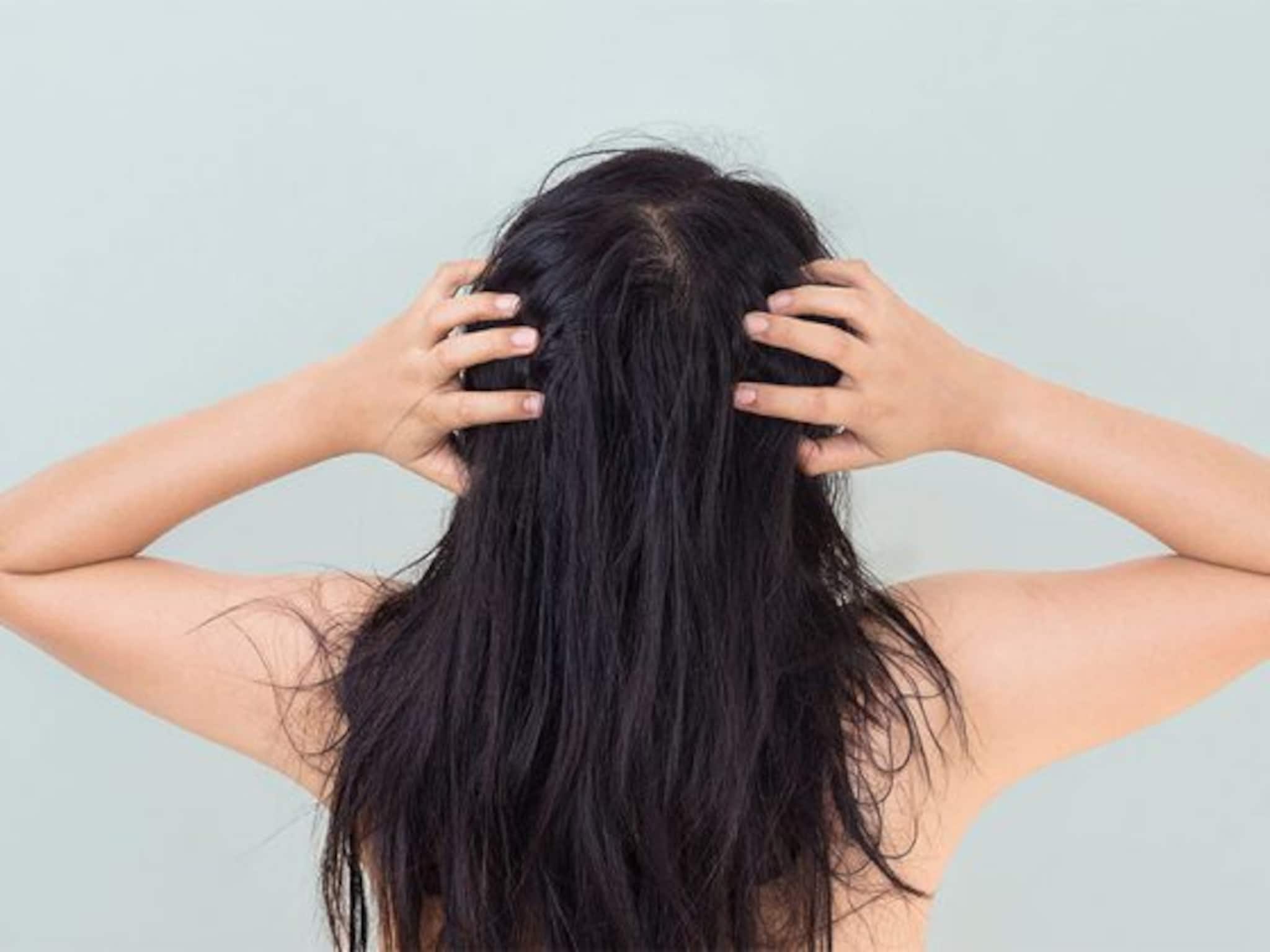 Hair care tips: ঘরেই বানিয়ে নিন তিন রকমের হেয়ার কন্ডিশনার! চুল হবে রেশমের মতো মোলায়েম, রইল পদ্ধতি