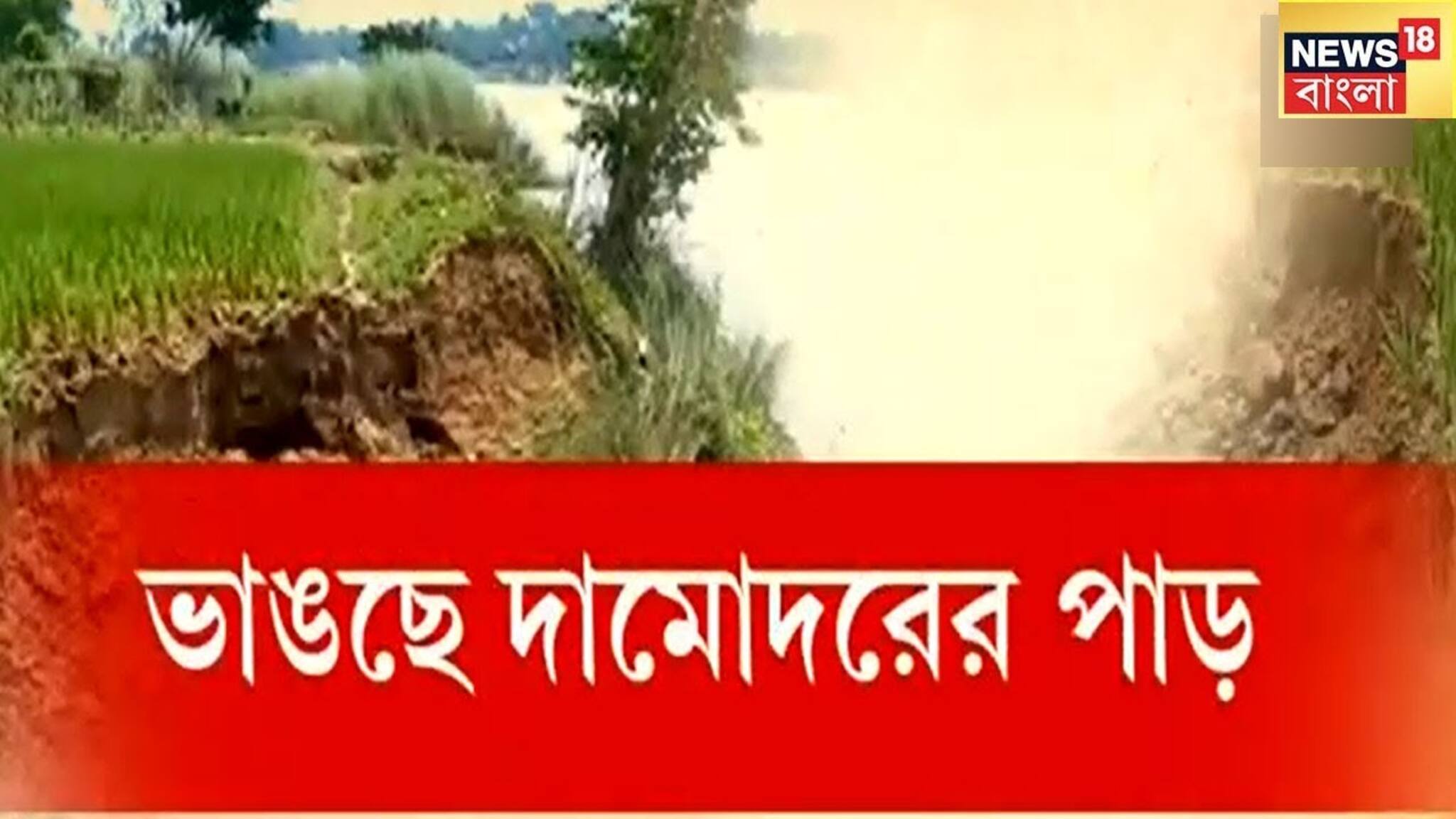 Purba Bardhaman-এ দামোদরে ভাঙন, নদীগর্ভে বিঘার পর বিঘা চাষের জমি