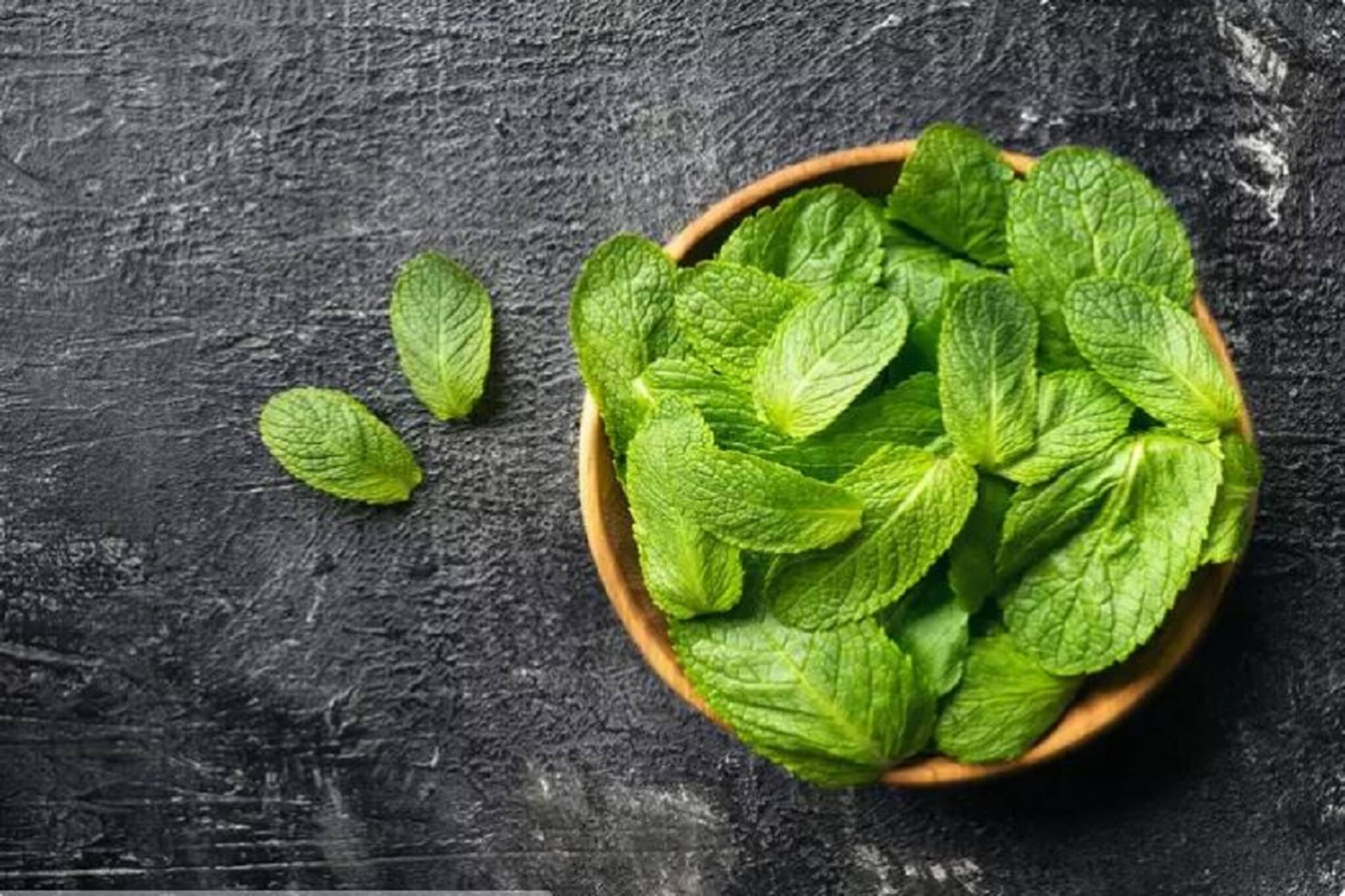 Mint In Skincare: ত্বকে ঔজ্জ্বল্য ফেরানো-ডার্ক সার্কল দূর, পুদিনায় আছে আরও অনেক গুণ!