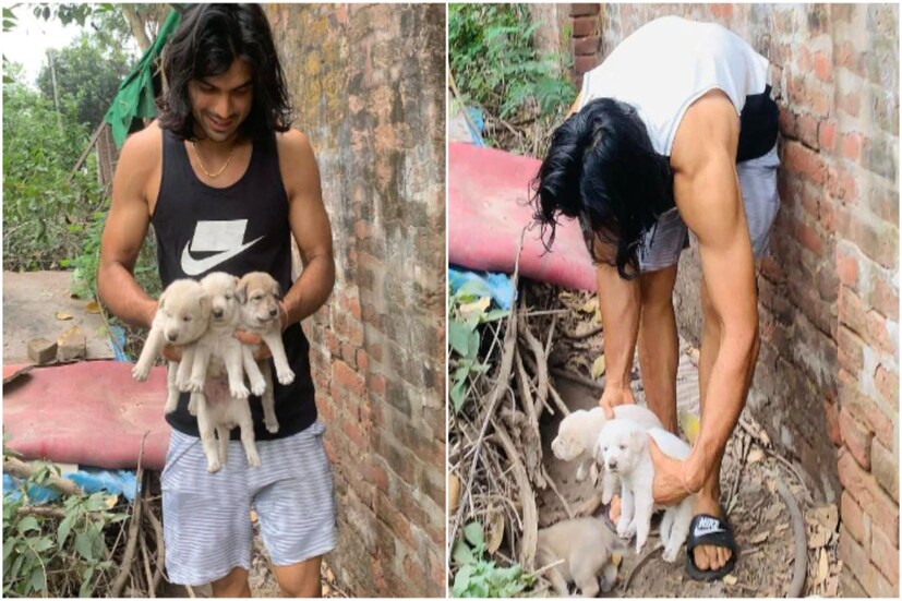 ভালোবাসেন চারপেয়ে এই পোষ্যদেরও। ছবিই বলে দিচ্ছে নীরজ চোপড়ার কুকুর প্রেমের গল্প। যেভাবে তিনি কুকুরের বাচ্চাগুলিকে কোলে তুলে নিয়েছেন, তা দেখেই বোঝা যায় যে, নীরজ কত'টা কুকুরপ্রেমী।
