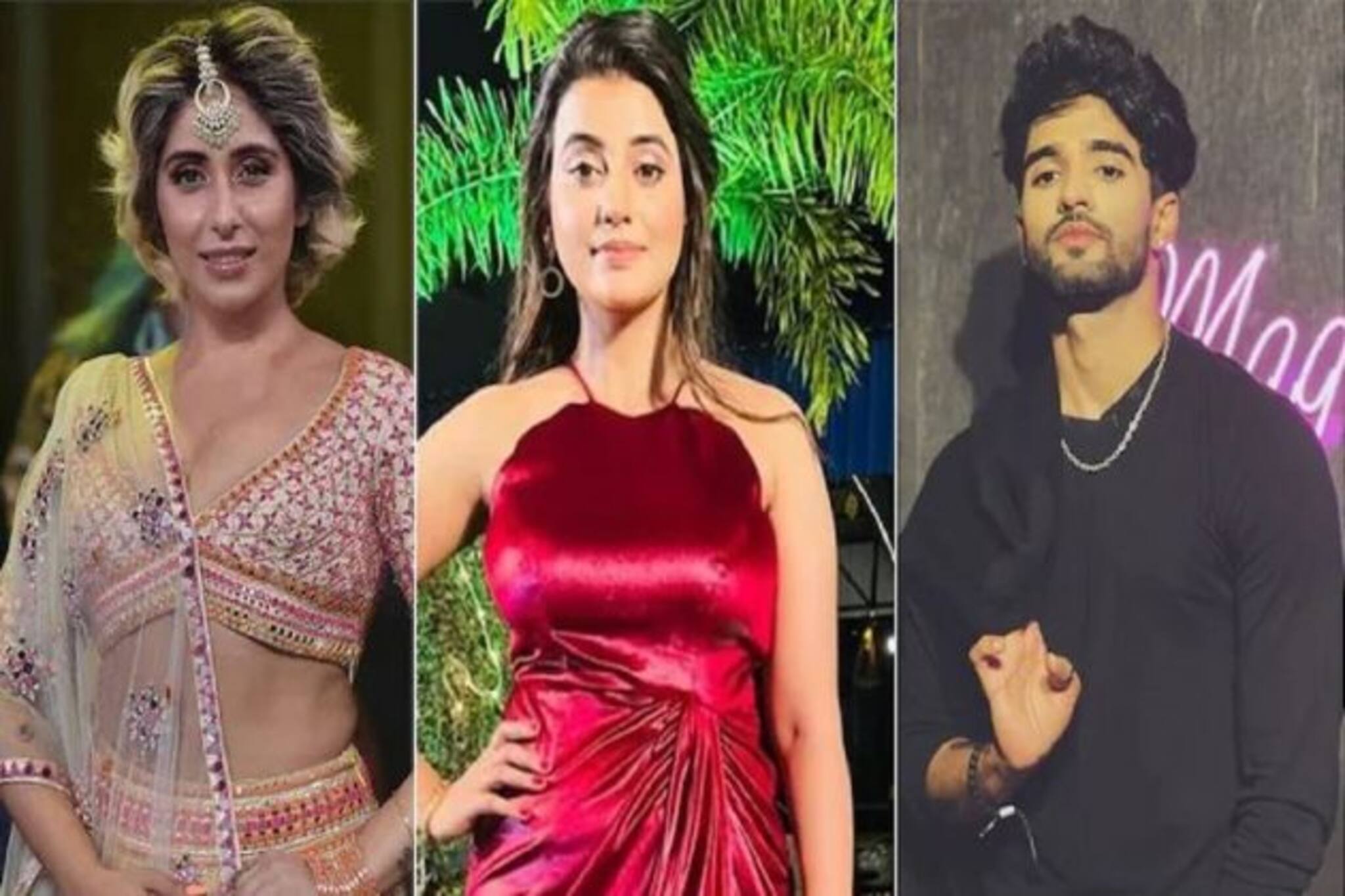 Bigg Boss OTT Contestants: বিতর্কের শিরোমনি বিগ বস ওটিটির ঘরে অতিথি কারা? দেখুন