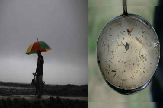 বর্ষায় বাড়তি সতর্কতা অবলম্বন করা দরকার