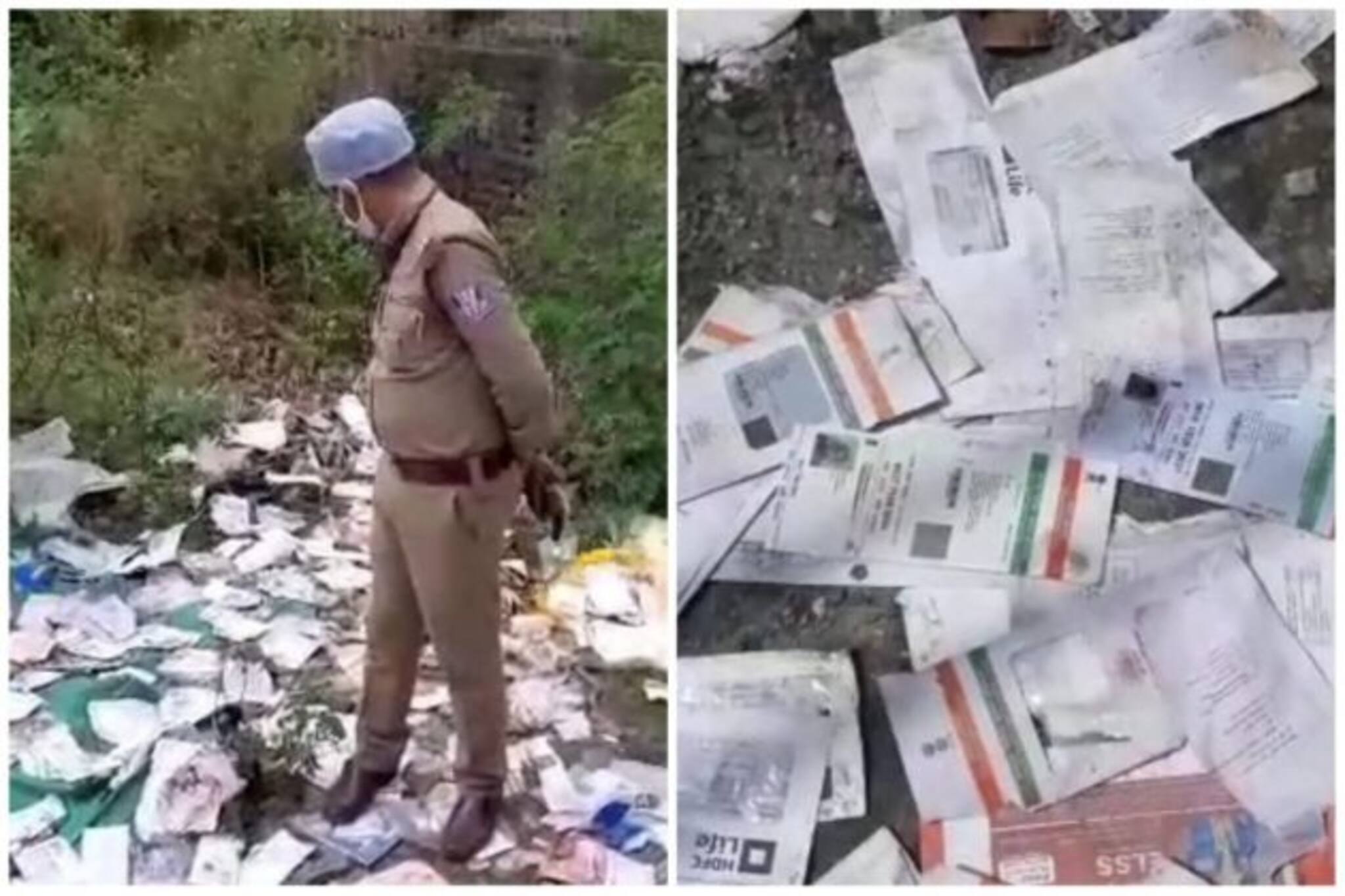 Siliguri : রাস্তায় লুটোপুটি খাচ্ছে শয়ে শয়ে Aadhar Card! দেখে সবার চক্ষু চড়কগাছ...