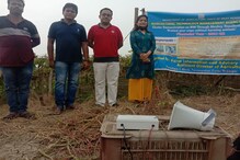 সাতসকালে সাপ উদ্ধার করল বন দফতরের কর্মীরা, চণ্ডীপুরে চাঞ্চল্য সাতসকালে সাপ উদ্ধার করল বন দফতরের কর্মীরা, চণ্ডীপুরে চাঞ্চল্য