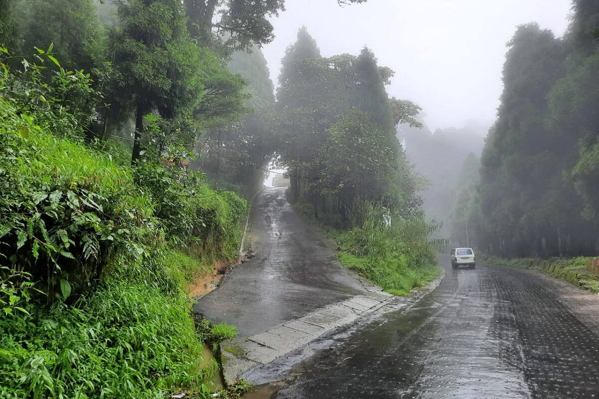 দাওয়াইপানি গ্রামে প্রবেশের রাস্তা। 