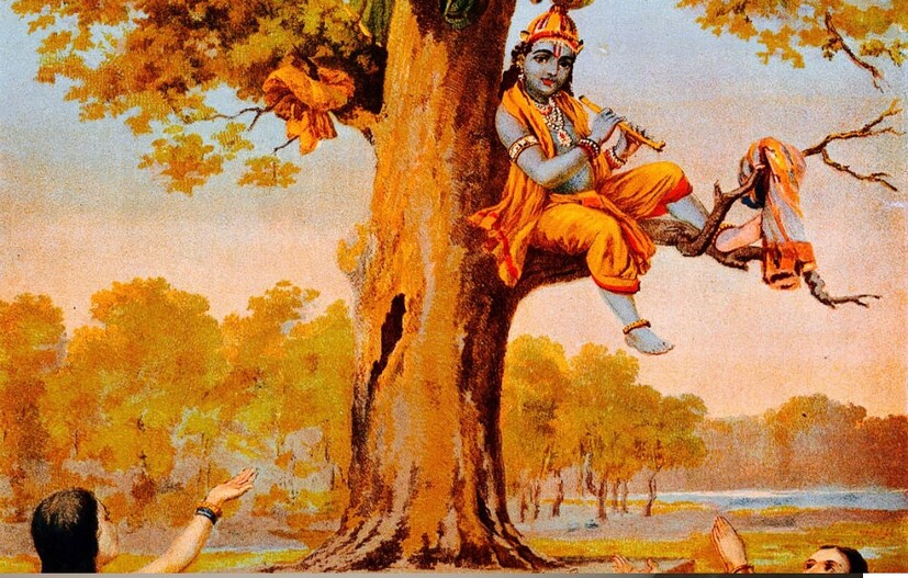শ্রীকৃষ্ণের লীলাকীর্তির থেকে জানতে পারা গিয়েছে কখনই বিবস্ত্র থাকা উচিৎ নয় ৷ 