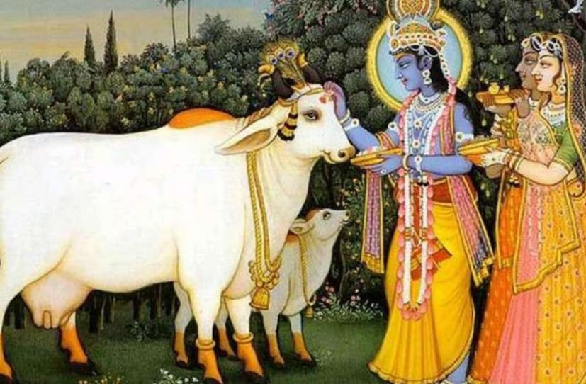 • শ্রীকৃষ্ণের পুজো করার সময় কয়েকটি নিয়ম অবশ্যই মানতে হবে ৷ শাস্ত্রে রয়েছে দুর্ভাগ্যকে, সৌভাগ্যে পরিণত করতে শুধু কৃষ্ণ নামই যথেষ্ট ৷ এ দিন নতুন করে সাজিয়ে তুলুন কৃষ্ণ মূর্তিকে ৷ পরান নতুন পোশাক, গয়না ৷ কৃষ্ণকে ভোগ দিন মাখন, মিছরি ৷