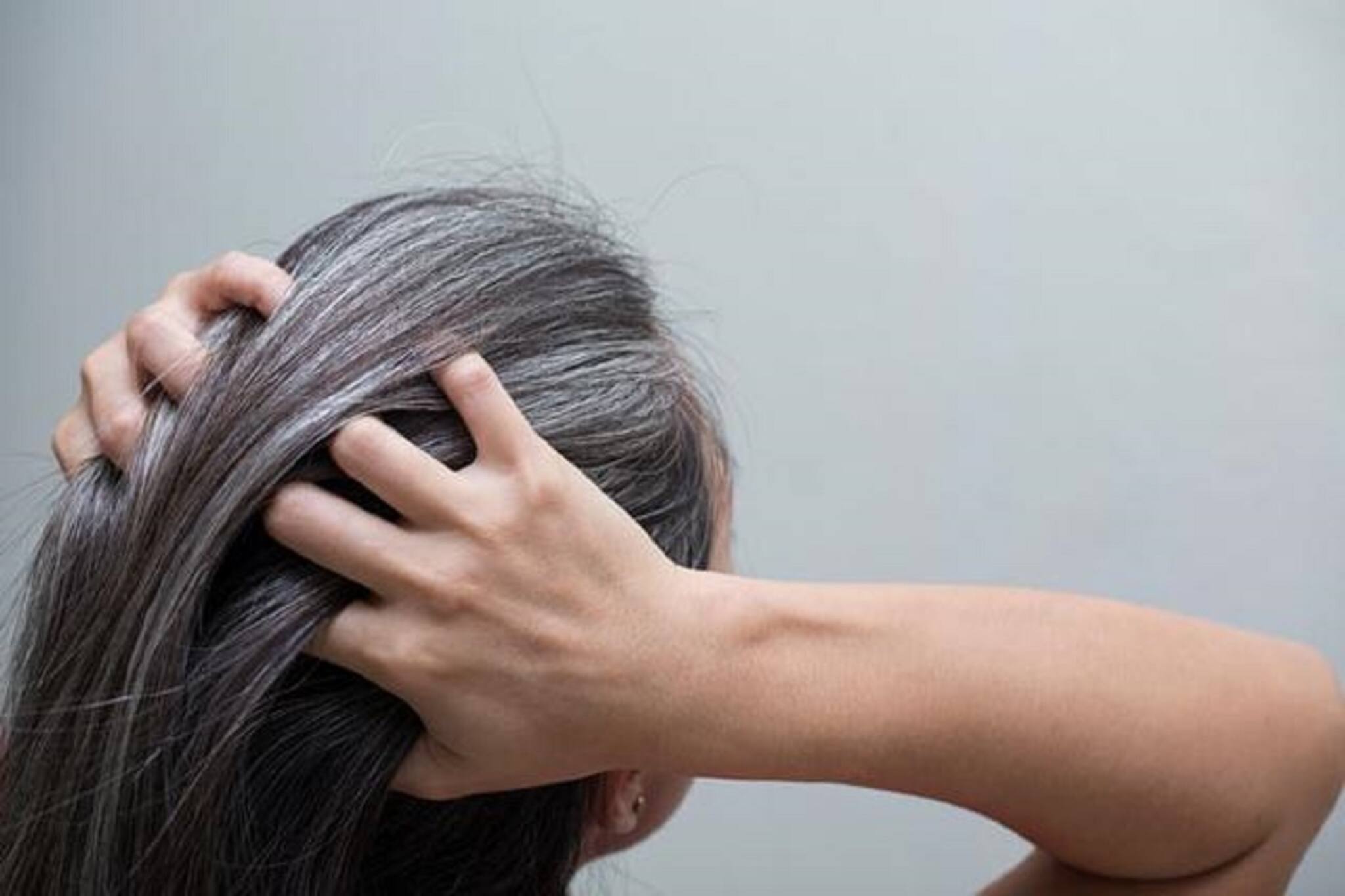 Premature Grey Hair Problem: চুলে অকালেই পাক ধরেছে, এই অভ্যাসগুলো দায়ী নয় তো?