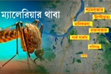 কলেরার পাশাপাশি কলকাতায় ম্যালেরিয়া রোগীর সন্ধান! করোনার মাঝে নতুন বিপদ কলেরার পাশাপাশি কলকাতায় ম্যালেরিয়া রোগীর সন্ধান! করোনার মাঝে নতুন বিপদ