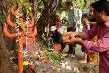 আসবে অর্থ, কাটবে দংশনভয় ও কালসর্পদোষ, জানুন নাগপঞ্চমীর পুণ্য মাহাত্ম্য!