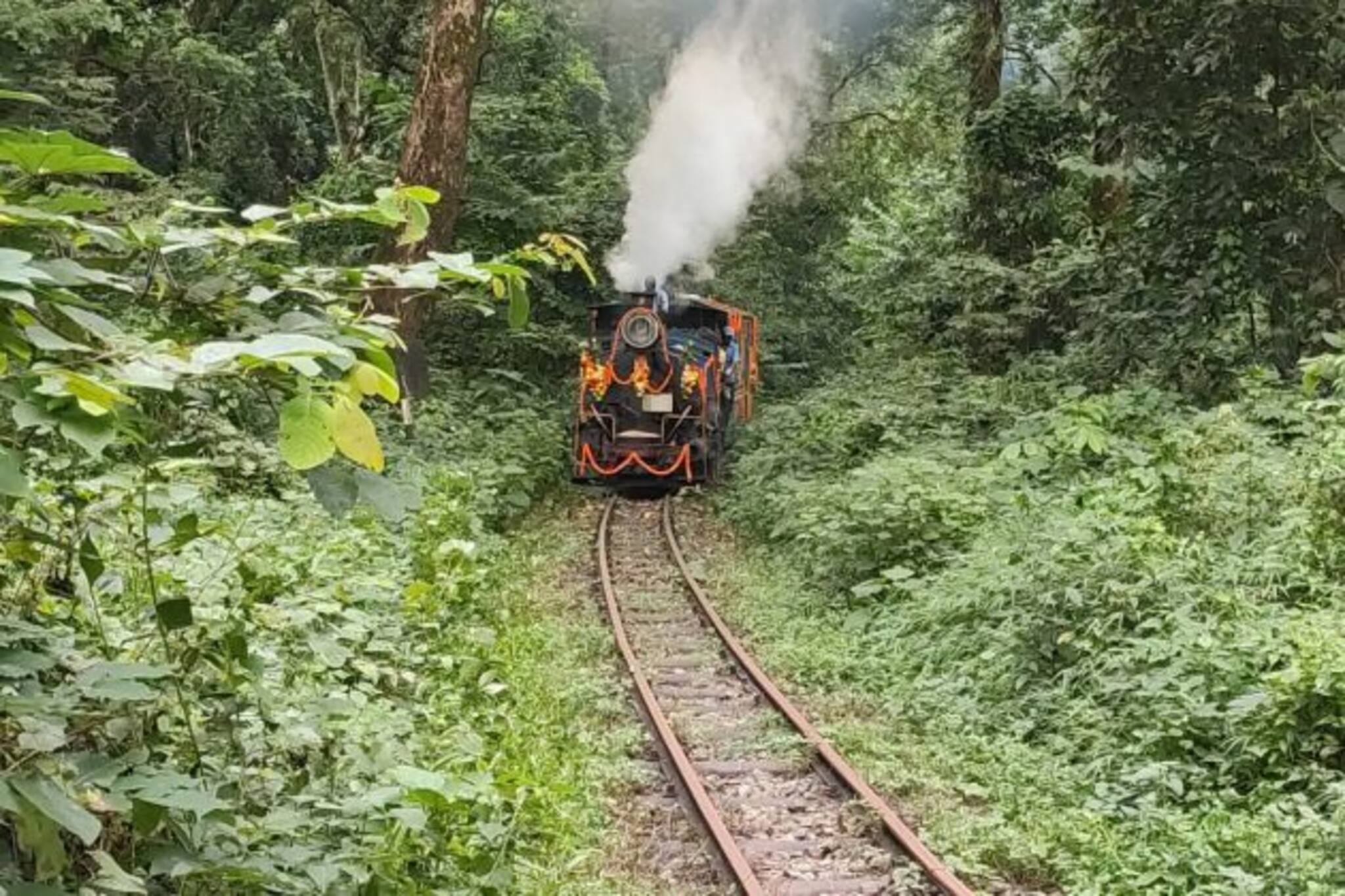 Darjeeling Toy Train: পুজোর মরসুমেই পাহাড়ে চালু 'রেডপাণ্ডা'! টয়ট্রেনের নয়া 'ডেস্টিনেশন' হাজির...