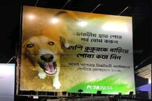 বিজ্ঞাপনের রেশ ধরে পথকুকুরদের বাঁচানোর আর্জি দুর্গাপুরে বিজ্ঞাপনের রেশ ধরে পথকুকুরদের বাঁচানোর আর্জি দুর্গাপুরে