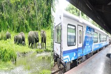 ভ্রমণপিপাসুদের জন্য দারুন খবর! নামমাত্র খরচে এবার 'ভিস্টাডোম' কোচে ডুয়ার্স সফর ভ্রমণপিপাসুদের জন্য দারুন খবর! নামমাত্র খরচে এবার 'ভিস্টাডোম' কোচে ডুয়ার্স সফর