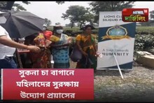 চা বাগানে প্রয়াসের উদ্যোগ থেকে গৌতম দেবের পরিদর্শন, দিনের সেরা খবর একনজরে