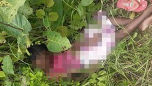 শালবনীর ভাদুতলার জঙ্গলে নাবালিকার মৃতদেহ উদ্ধার, গ্রেফতার নাবালিকার মাসি শালবনীর ভাদুতলার জঙ্গলে নাবালিকার মৃতদেহ উদ্ধার, গ্রেফতার নাবালিকার মাসি