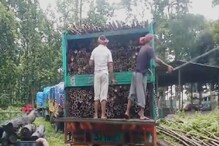 ফুলবাড়ি বাইপাস এলাকায় ৪০ লক্ষ টাকার অবৈধ কাঠ উদ্ধার, গ্রেফতার এক ফুলবাড়ি বাইপাস এলাকায় ৪০ লক্ষ টাকার অবৈধ কাঠ উদ্ধার, গ্রেফতার এক