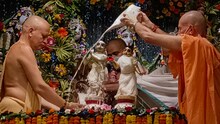 মায়াপুর ইসকন মন্দিরে মহাসমারোহে পালিত হল রাধাষ্টমী উৎসব