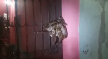 পশ্চিম বর্ধমানের সারাদিন এক নজরে