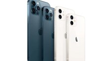 অবিশ্বাস্য কম দামে পাওয়া যাচ্ছে iPhone 12 সিরিজের ফোন; দেখে নিন এক নজরে