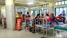 মেদিনীপুরে এখনও অজানা জ্বরের লক্ষণ মেলেনি শিশুদের মধ্যে, জানালেন CMOH