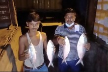 সারাদিনের বাছাই করা খবর এক নজরে