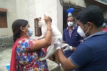 বিশ্ব জলাতঙ্ক দিবস উপলক্ষে কুকুর বিড়ালদের ভ্যাকসিন প্রদান হাওড়ায়
