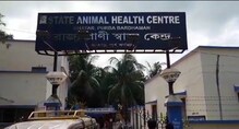 চিকিৎসা মিললেও ওষুধ নেই, বেহাল দশা কালনার পশু স্বাস্থ্য কেন্দ্রের চিকিৎসা মিললেও ওষুধ নেই, বেহাল দশা কালনার পশু স্বাস্থ্য কেন্দ্রের