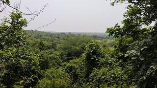 গভীর গড় জঙ্গলের মাঝে অবস্থিত শ্যামারূপার মন্দির