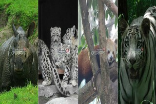 লললল