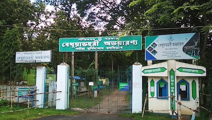 বেথুয়াডহরি রিজার্ভ ফরেস্ট