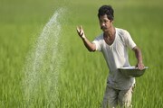 অ্যাকাউন্টে ৬০০০ টাকার বদলে আসবে ১২০০০ টাকা! কিন্তু কারা পাবেন এই সুবিধা ?