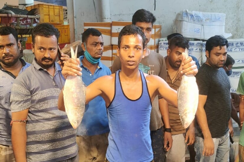 এছাড়াও ইলিশ মাছে থাকা ওমেগা-ত ফ্যাটি অ্যাসিড অবসাদের মোকাবিলা করতে পারে। আবার অ্যাকজিমা, সিরোসিসের মতো জটিল চর্মরোগের হাত থেকে রক্ষা করতে কাজে লাগে ইলিশ মাছ। এছাড়াও আলসার, কোলাইটিসের হাত থেকে রক্ষা করে ওমেগা-৩ ফ্যাটি অ্যাসিড।