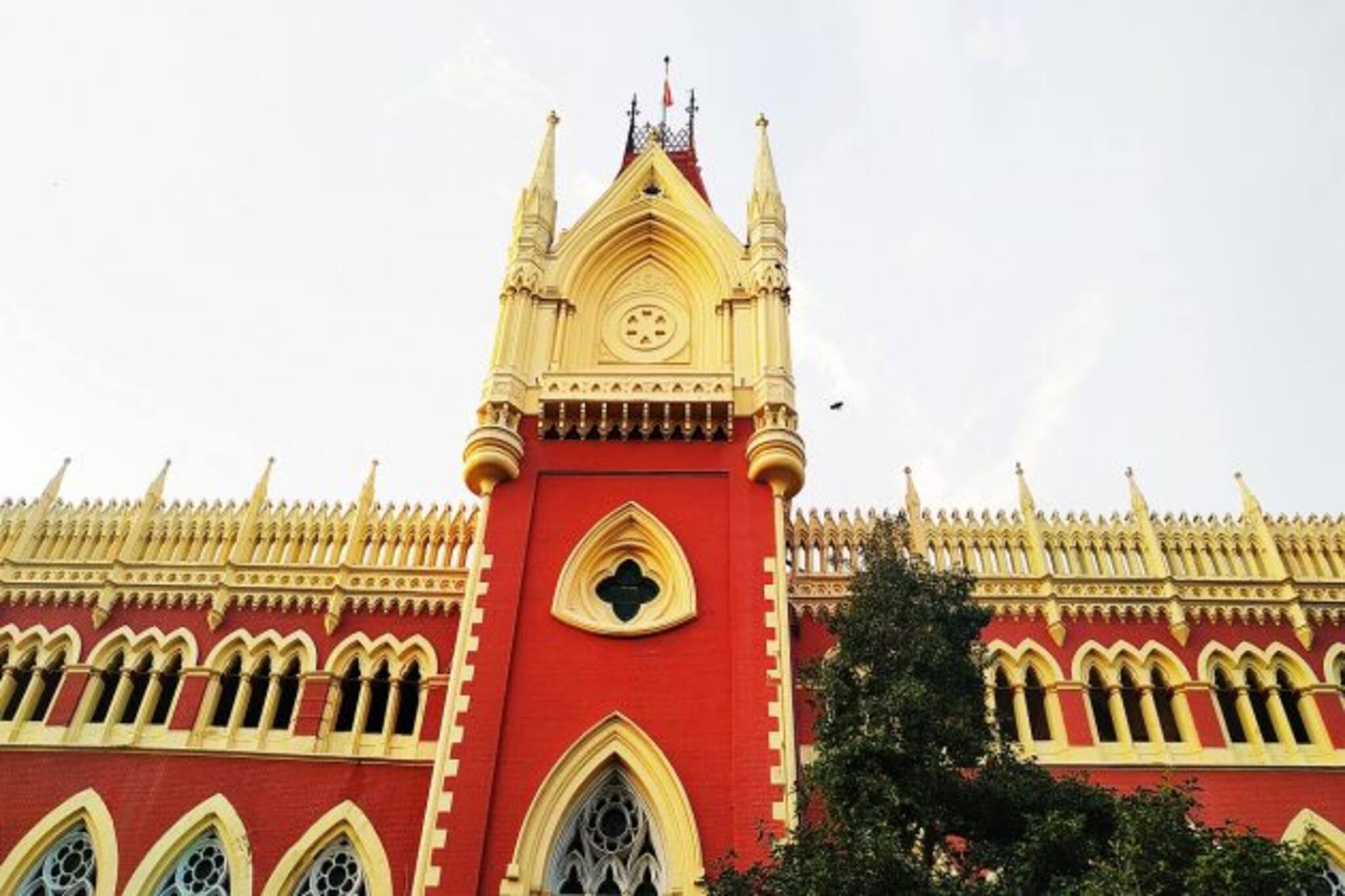 ভাগাড় কাণ্ডের রায় খারিজ হাইকোর্টে! হোটেলে খাওয়া নিরাপদ তো? 