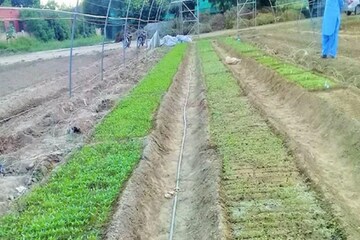 মাত্র ২০ হাজার টাকা দিয়ে শুরু করুন এই ব্যবসা, প্রতি মাসে আয় করবেন ৪ লক্ষ টাকা