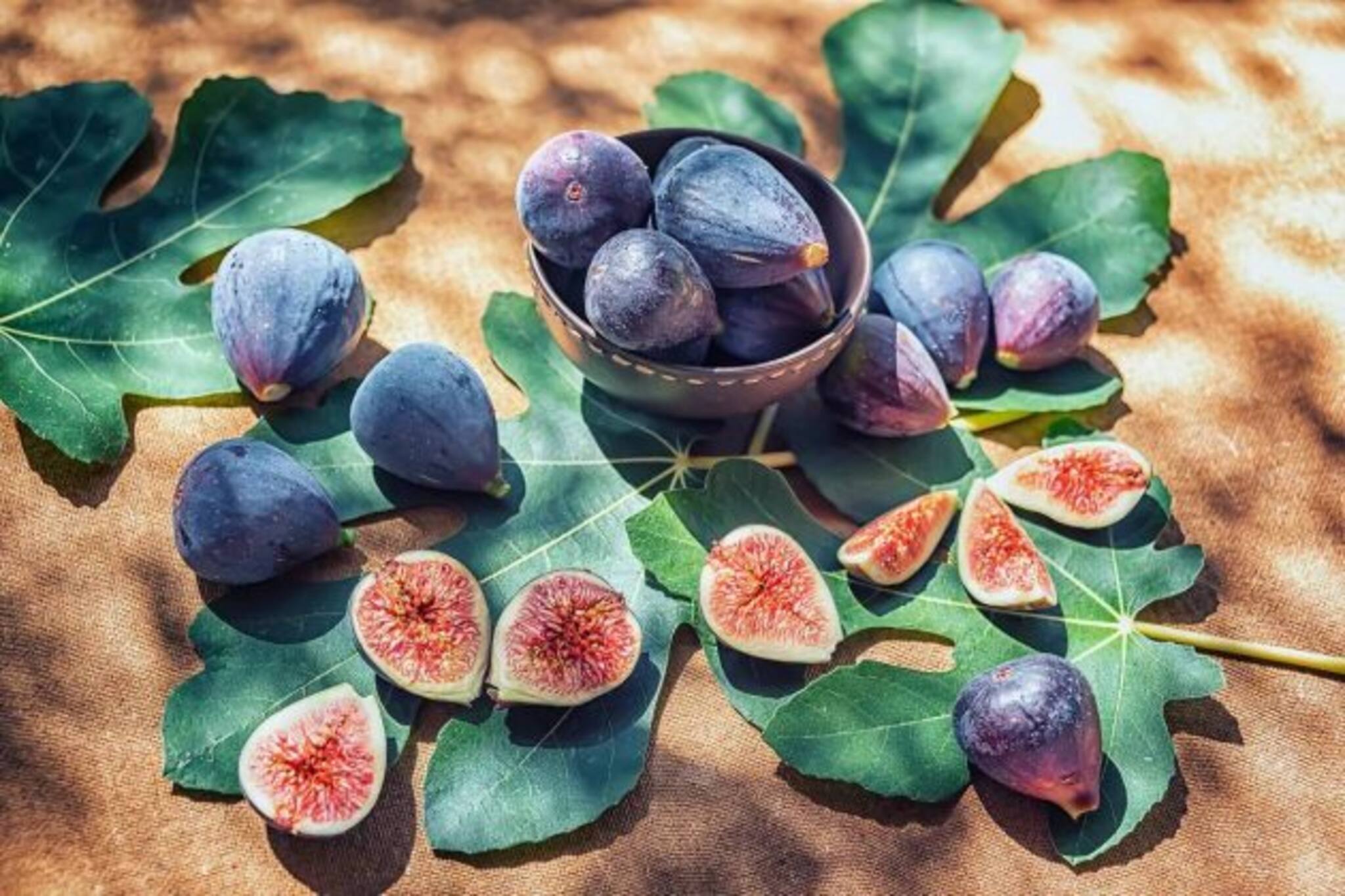 শারীরিক সমস্যাদের ‘ডুমুরের ফুল’-এর মতো প্রায় অদৃশ্য করবেন? ডায়েটে রাখুন ডুমুর