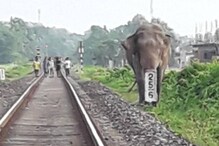 ৩ দিন লোকালয়ে কাটিয়ে অবশেষে টুকুরিয়া জঙ্গলে নিজের ঘরে ফিরল ‘শান্ত’ বুনো হাতি ৩ দিন লোকালয়ে কাটিয়ে অবশেষে টুকুরিয়া জঙ্গলে নিজের ঘরে ফিরল ‘শান্ত’ বুনো হাতি
