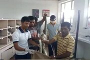 আলমারির পাশেই অজগর ! বিশালাকায় রক পাইথন উদ্ধার ঘিরে আতঙ্ক চা বাগানের ঘরে