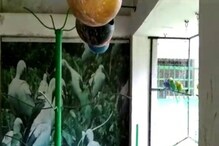 স্কুলবাড়িতে পোষা পাখিরা কেমন আছে, দীর্ঘ অদর্শনে জানতে আকুল পড়ুয়ারা স্কুলবাড়িতে পোষা পাখিরা কেমন আছে, দীর্ঘ অদর্শনে জানতে আকুল পড়ুয়ারা