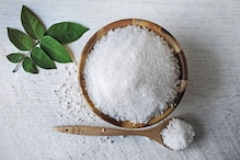বয়ামে রাখুন এই জিনিসগুলি, বর্ষায় আপনার রান্নাঘরে বহাল তবিয়তে থাকবে নুন বয়ামে রাখুন এই জিনিসগুলি, বর্ষায় আপনার রান্নাঘরে বহাল তবিয়তে থাকবে নুন
