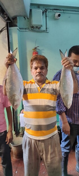 বহু প্রতীক্ষার পর কলকাতা এল বাংলাদেশের ইলিশ  (Hilsa Fish From Bangladesh)। বুধবার রাতে বাংলাদেশ থেকে পেট্রাপোল-বেনাপোল সীমান্ত হয়ে ইলিশ বোঝাই লরি এ রাজ্যে ঢোকে। আজ তারই দেখা মিললো লেক মার্কেটে।