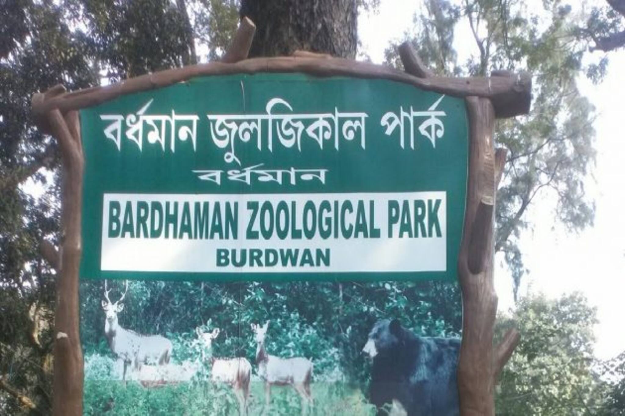 ব্যস্ততম গোলাপবাগে শান্ত চিড়িয়াখানা,পুজোয় ঘুরে আসুন বর্ধমান জ্যুলজিক্যাল পার্ক