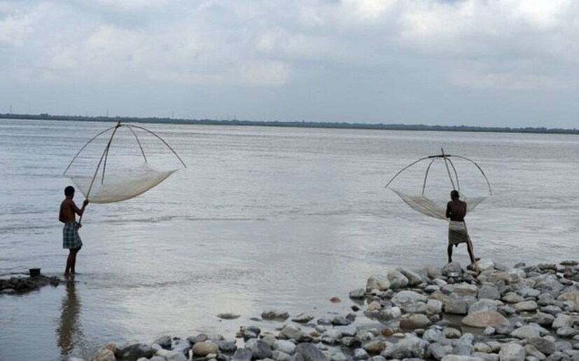 স্থানীয় গ্রামবাসী এবং আশেপাশের অন্যান্য লোকেরা বলছেন যে তারা আজ পর্যন্ত এমন মাছ কখনও দেখেনি। এই অদ্ভুত মাছ নিয়ে গ্রামবাসীদের মধ্যে নানা আলোচনা চলছে। দূর -দূরান্ত থেকে মানুষ আসছে এই মাছ দেখতে। স্থানীয় গ্রামবাসীরা এই অদ্ভুত প্রাণীর নাম দিয়েছে কুমির মাছ (Crocodile Fish)।