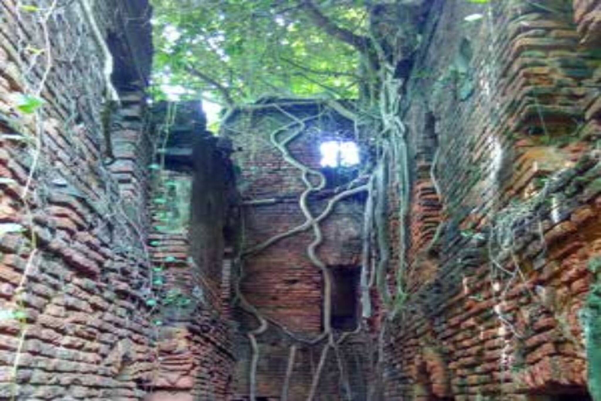 প্রচণ্ড শব্দে কেঁপে উঠল এলাকা, ভেসে আসছে আর্তনাদ, চিৎকার! বৃষ্টির সকালে ভয়ঙ্কর..